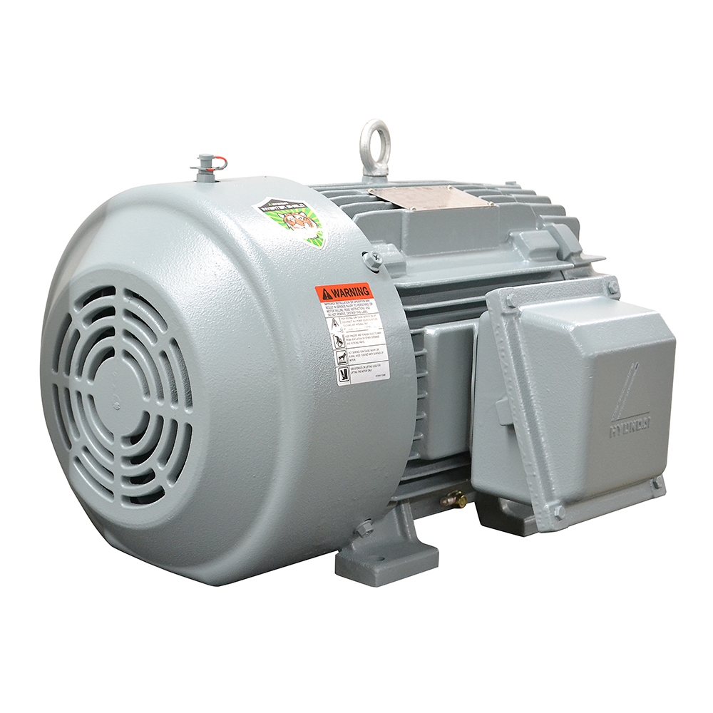 20 HP 1775 RPM 460 Volt AC 3Ph Hyundai Crown Triton Motor